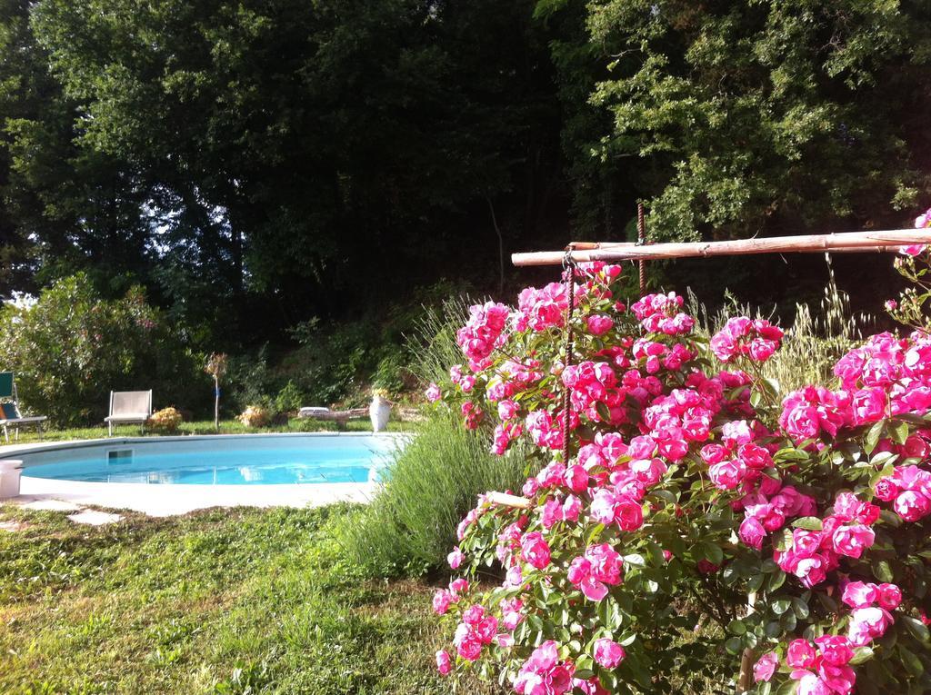 Villa Arianna B&B Lari Exterior foto