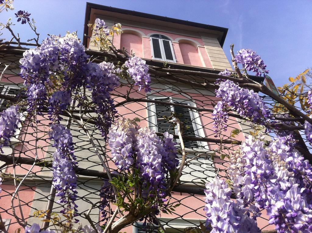 Villa Arianna B&B Lari Exterior foto