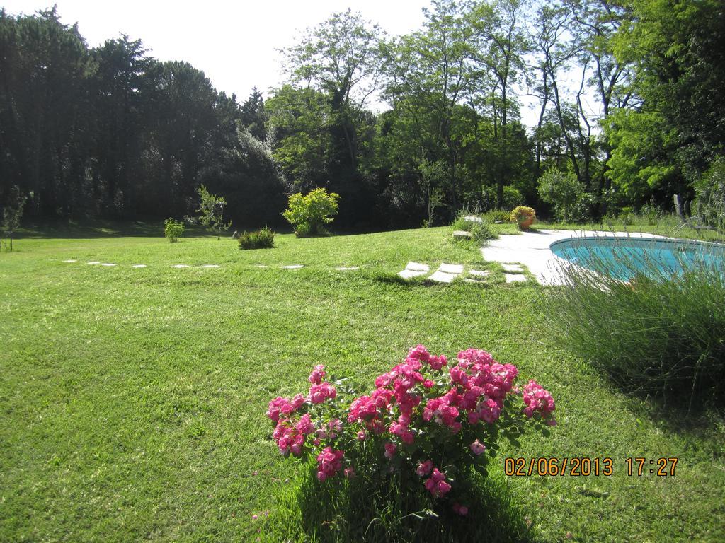 Villa Arianna B&B Lari Exterior foto